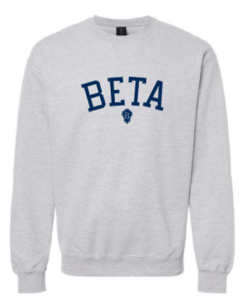 Champion Crewneck - Grey