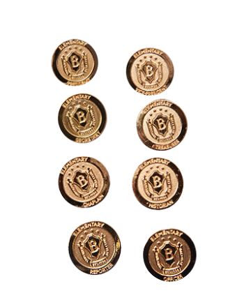 Elementary Officer Pins